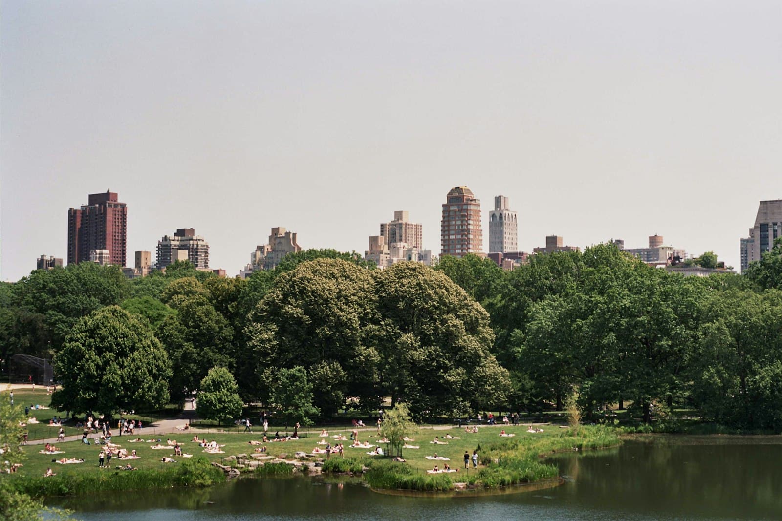 A park lake with the Manhattan skyline beyond