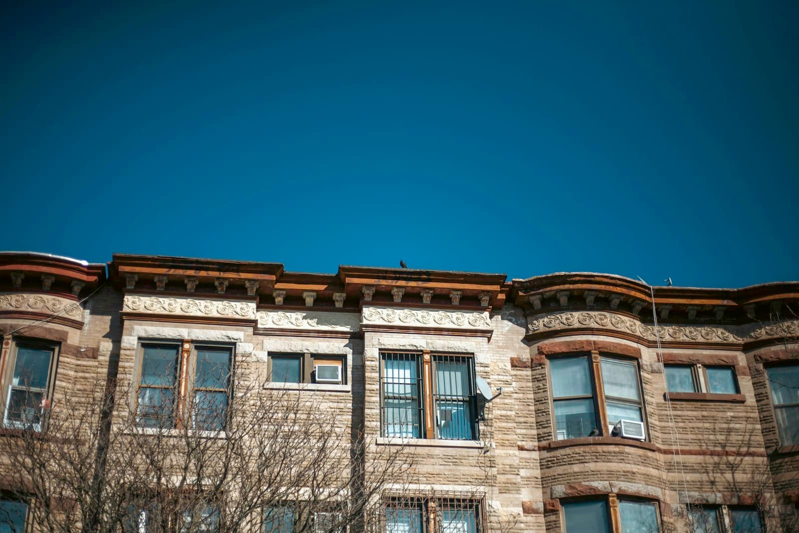 A pre-war apartment building with rows of windows behind a street tree